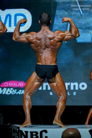 CLASSIC PHYSIQUE +178